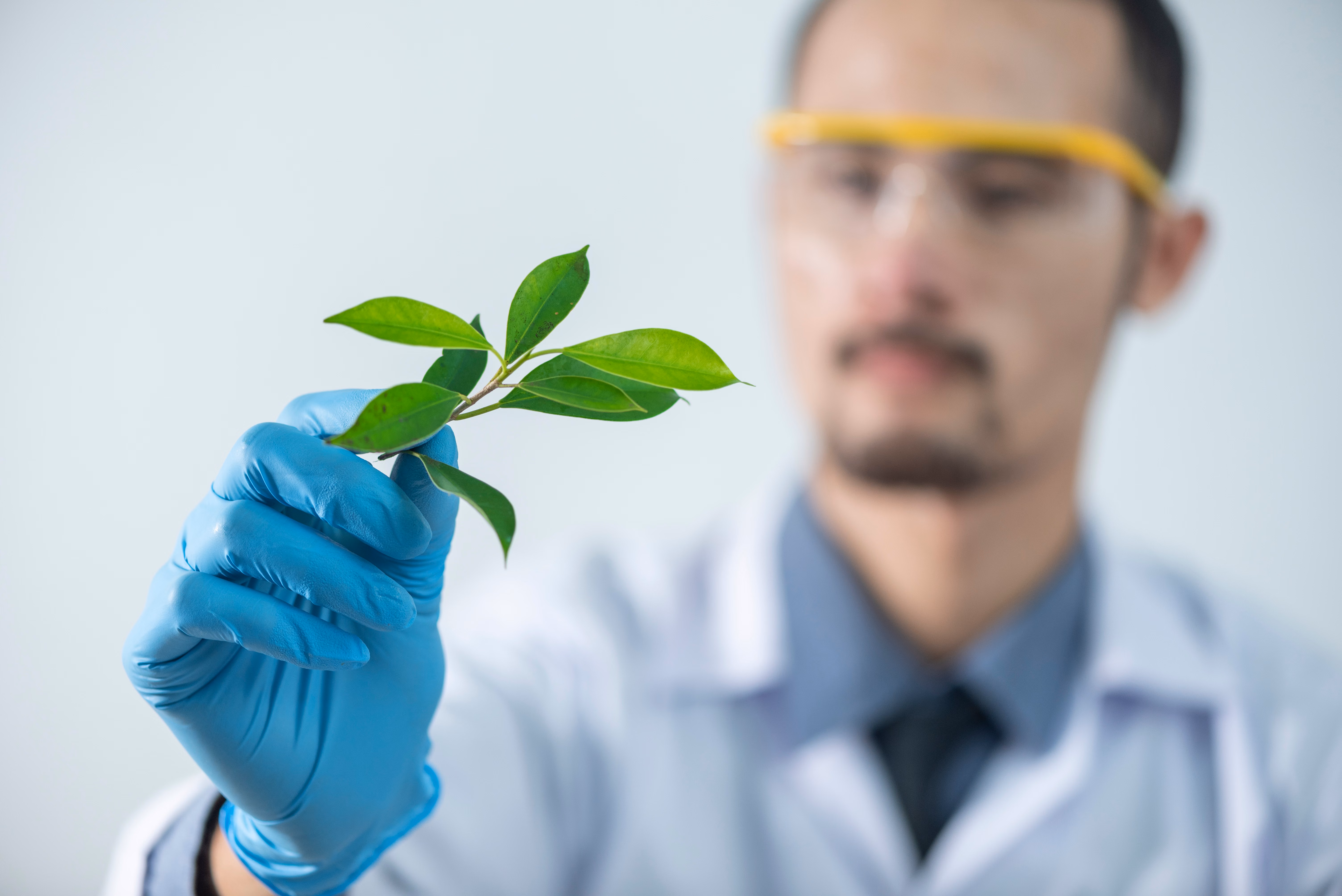 Pharmaceutical industry and innovation